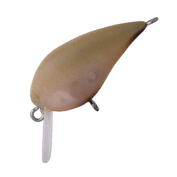MINI KURA F(#12 監督MG)